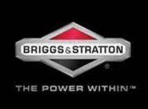 briggs & stratton kleingeräte - garage weber eschenz gmbh